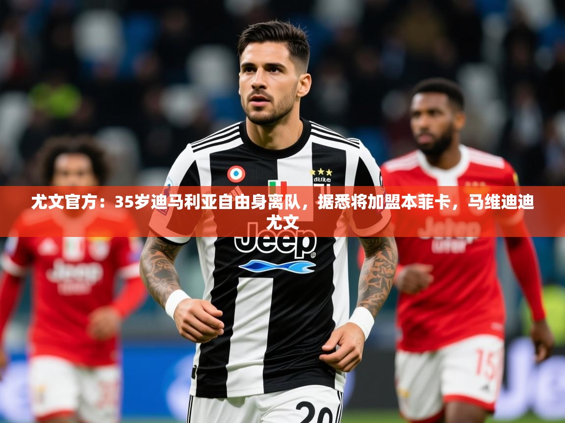 2025米兰体育app官网登录尤文官方:35岁迪马利亚自由身离队,据悉将加盟本菲卡,马维迪迪尤文 第1张