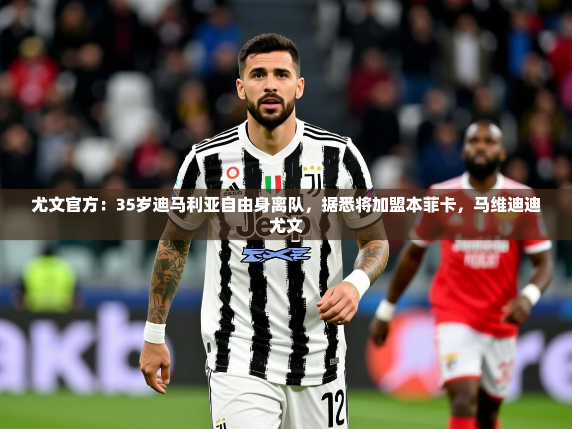 2025米兰体育app官网登录尤文官方:35岁迪马利亚自由身离队,据悉将加盟本菲卡,马维迪迪尤文 第2张