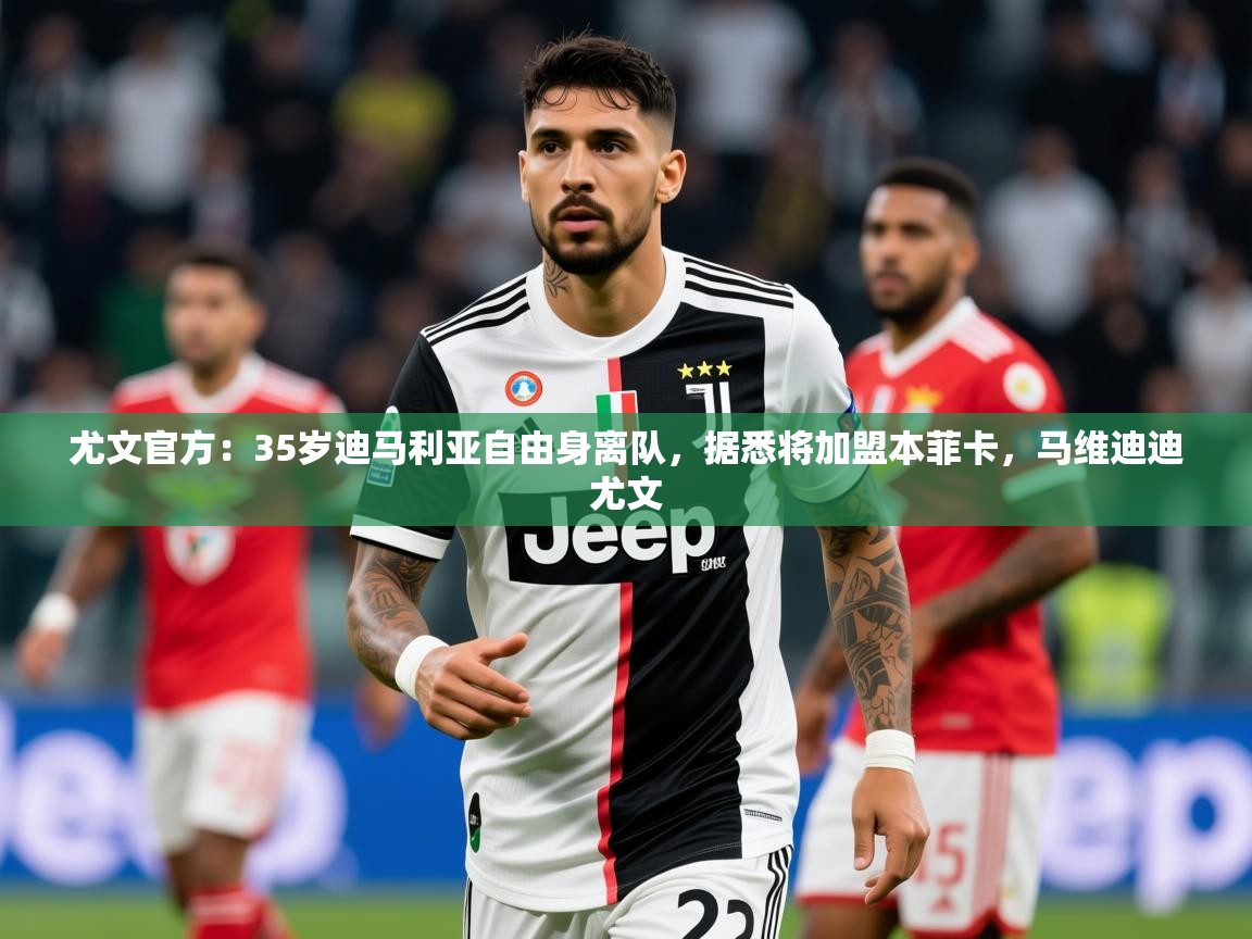 2025米兰体育app官网登录尤文官方:35岁迪马利亚自由身离队,据悉将加盟本菲卡,马维迪迪尤文 第4张