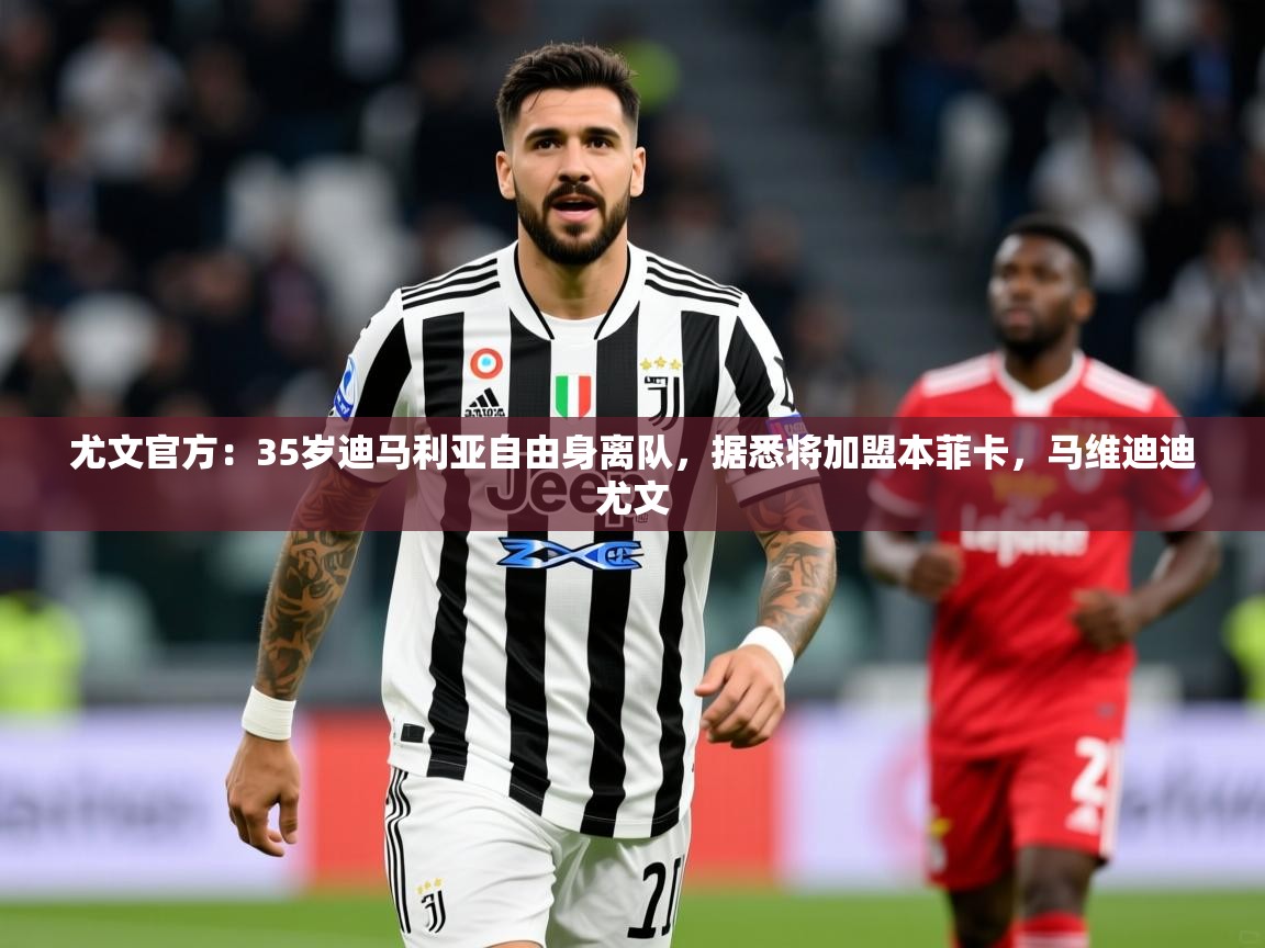 2025米兰体育app官网登录尤文官方:35岁迪马利亚自由身离队,据悉将加盟本菲卡,马维迪迪尤文 第3张